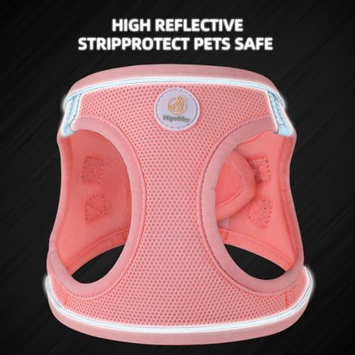 Hipubby Dog Harness and Leash Set, No Pull Soft Mesh Puppy Harness - Image 5