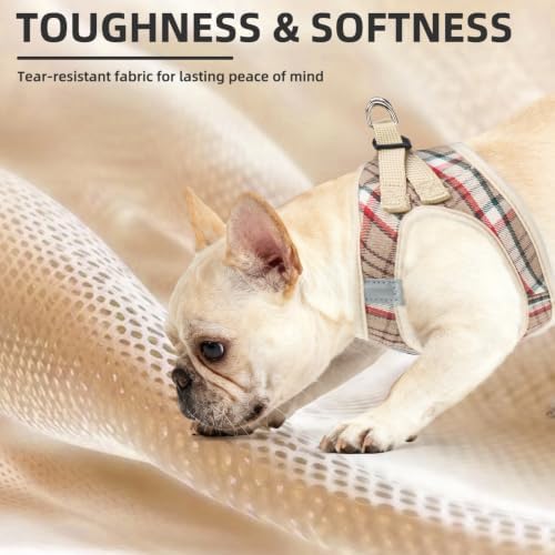 PUPTECK Dog Harness, Collar and Leash Set No Pull - Image 6