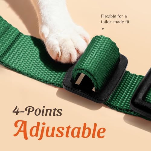 Dooradar Cat Harness and Leash Set, Adjustable and Escape Proof - Image 3