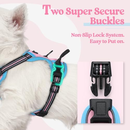rabbitgoo Dog Harness, No Pull for Small Dogs - Image 3