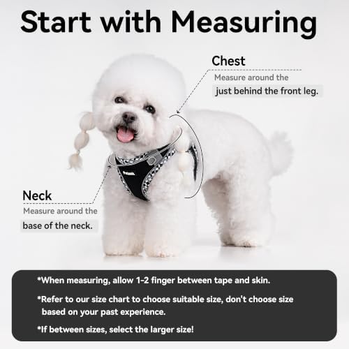 Petank Step in Dog Harness No Pull and Leash - Image 4