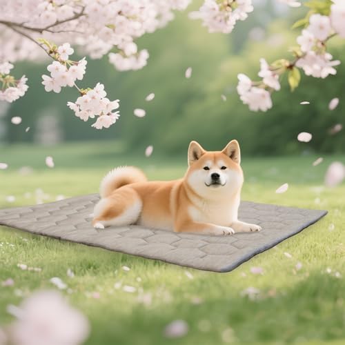 Cooling Mat for Dogs, Q-MAX>0.4 Ice Green B Size by UniHome