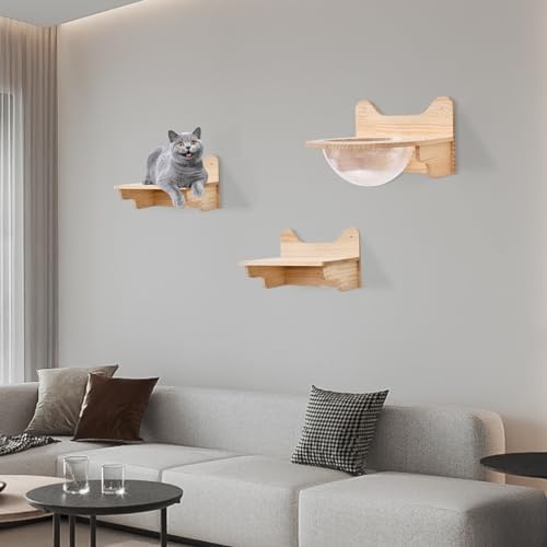 Wall-Mounted Wooden Cat Space Clear Capsule, Transparent Capsule - Image 4