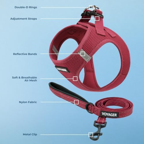 Voyager Step-in Pet Harness by Best Pet Supplies - Image 2