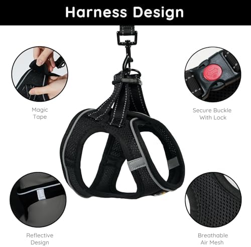 BELLA & PAL Step in Puppy Harness and Leash Set - Image 2