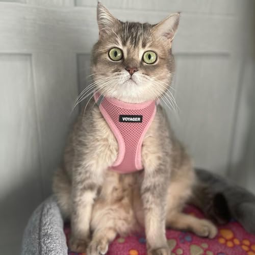 Voyager Step-in Air Cat Harness & Leash Set - Image 7