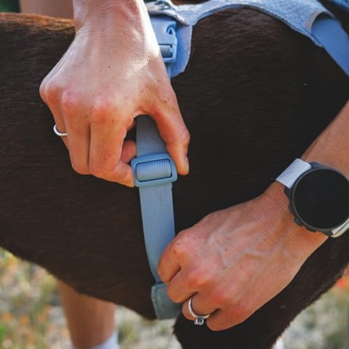 Ruffwear, Front Range Flex Dog Chest Harness, Polar Blue - Image 4