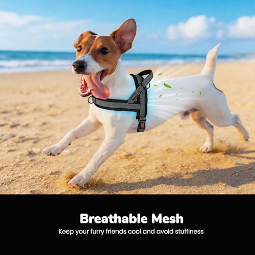 Didog No Pull Dog Harness for Small Dogs, Breathable Mesh Padded - Image 2
