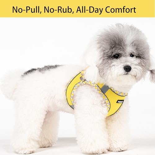 Petank Step in Dog Harness No Pull and Leash - Image 2