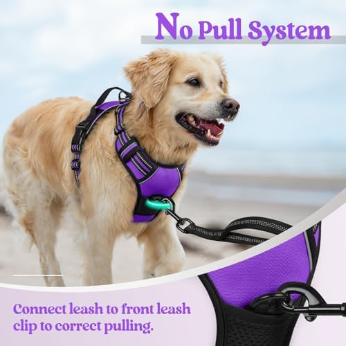rabbitgoo Dog Harness, No Pull Medium Sized - Image 5