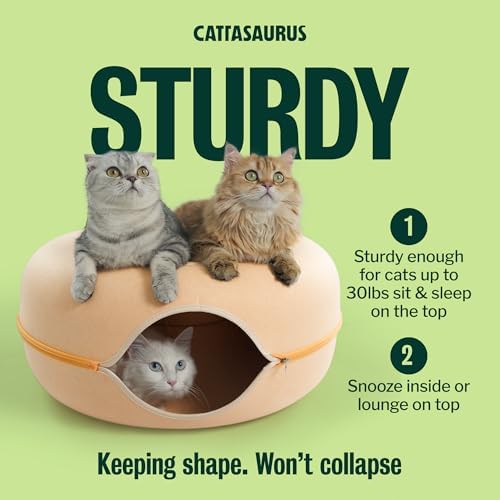 Cattasaurus Peekaboo Cat Cave Donut - Image 5
