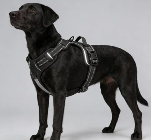 Adjustable Reflective Black No-Pull Dog Harness - Image 5