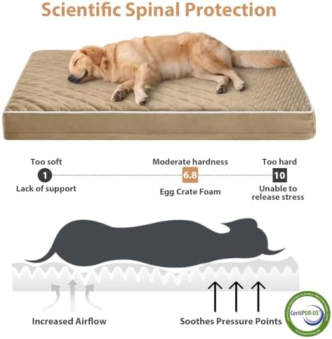 WNPETHOME Orthopedic XXL Dog Beds - Image 3