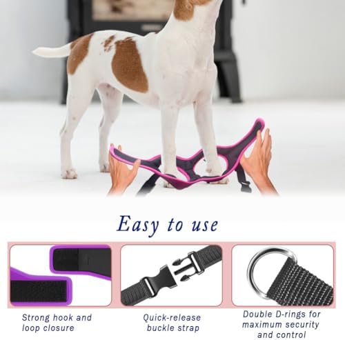 Comfort fit Step-in Dog & Puppy Harness - Image 6