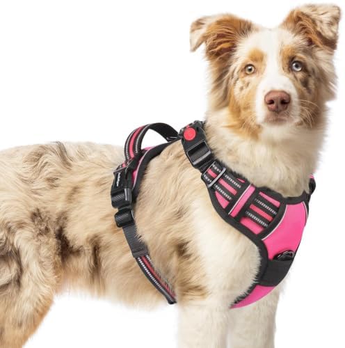 rabbitgoo Dog Harness Medium Sized, Updated Easy On & Off by rabbitgoo