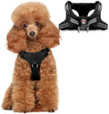 BARKBAY Small Dog Harness, No Pull Puppy Harness, Step-in Dog Vest by BARKBAY