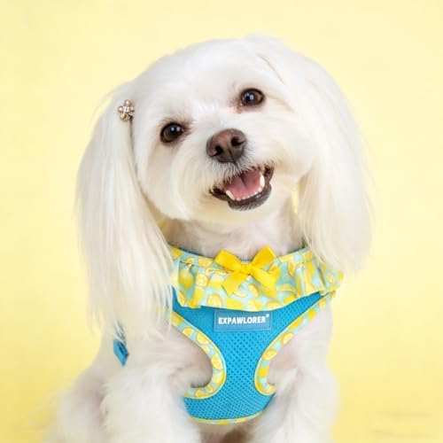 EXPAWLORER Step-in Dog Harness Small Sized and Leash Set - Image 7