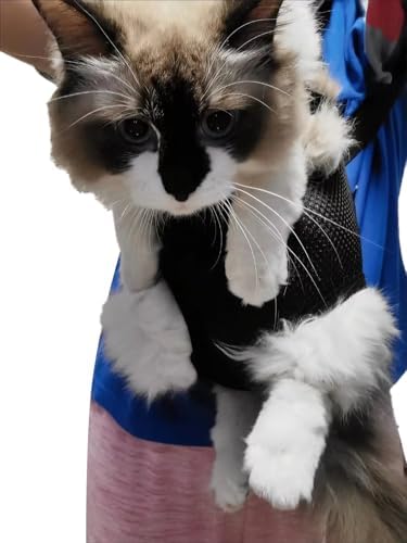 Pet Carrier Backpack - Image 4