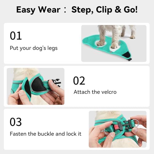 Joytale Step-in Dog Harness, Soft Breathable Mesh, Teal XS - Image 3
