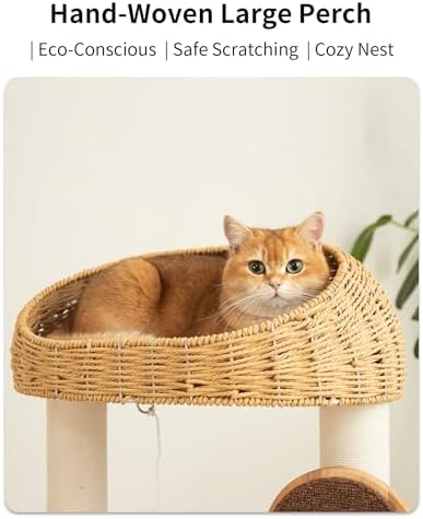 Wood Cat Tree for Large Cats, Modern Cat Tree Tower - Image 3