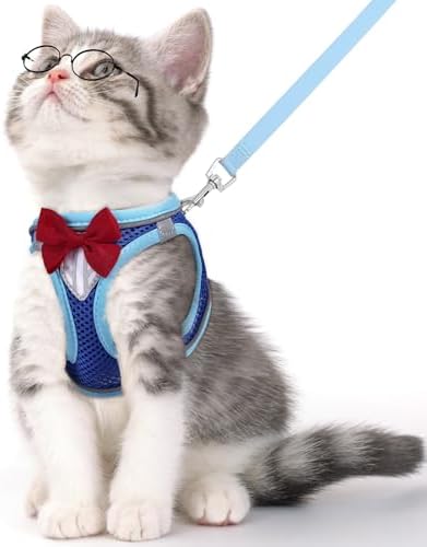 Cat Vest Harness and Leash Set, Escape Proof Kitten Harness Blue S by NCMAMA
