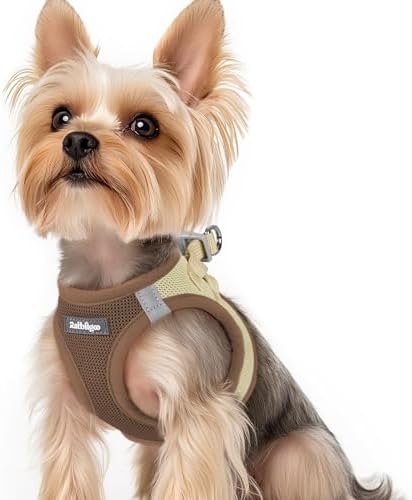 rabbitgoo Step-in Small Dog Harness, Puppy Vest by rabbitgoo