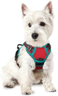 rabbitgoo Dog Harness, No Pull for Small Dogs by rabbitgoo
