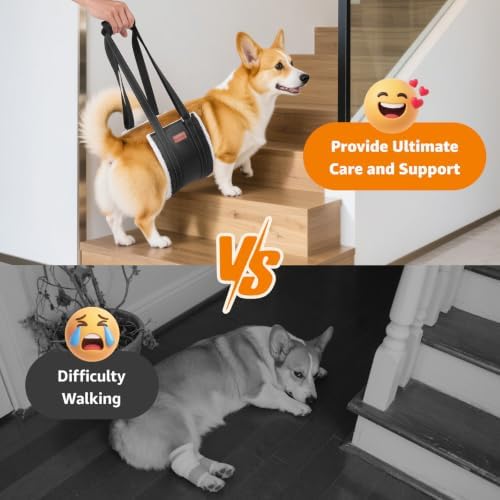 LOOBANI Adjustable Dog Sling for Medium Dogs Hind Leg Support ACL Recovery - Image 2