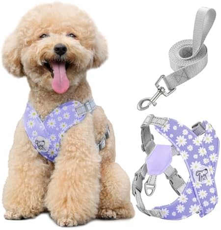 Pawaboo Small Dog Harness and Leash Set, Puppy Harness X-Frame Adjustable by Pawaboo