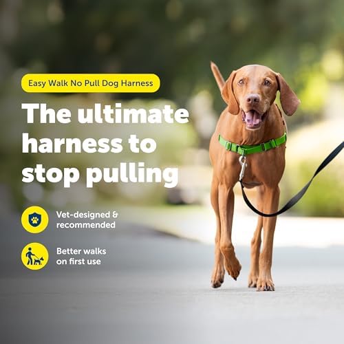 PetSafe Easy Walk Harness, No Pull Dog Harness, Apple Green - Image 2