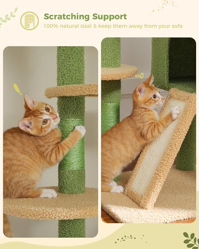 PEQULTI Floor to Ceiling Cat Tree Tower, Height Adjustable 230-252cm - Image 6