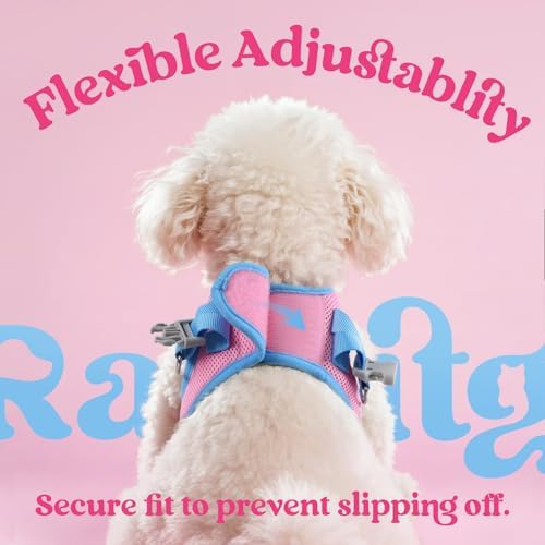 rabbitgoo Dog Harness Small Sized and Leash Set, Step in Soft Vest - Image 6