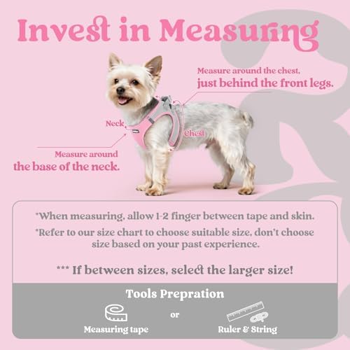 rabbitgoo Step-in Small Dog Harness, Puppy Vest - Image 2