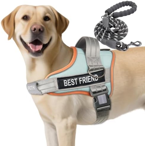 AUROTH Dog Harness and Leash Set by AurothPets