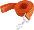 Reflective Dog Leash 4Ft /6 Feet Long, 3/4 Inch Wide, by TAIDA