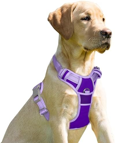 BARKBAY Dog Harness No Pull for Small Sized Dog Front Back Clips, Dog Vest by BARKBAY