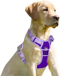 BARKBAY Dog Harness No Pull for Small Sized Dog Front Back Clips, Dog Vest by BARKBAY