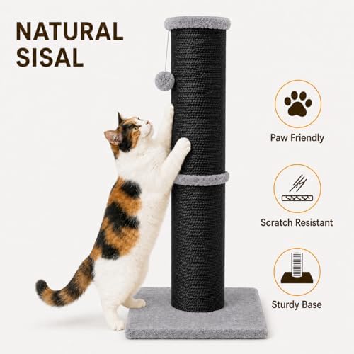 PAWSCRAT 32-Inch Tall Cat Scratching Post, 5.5-Inch Diameter - Image 3