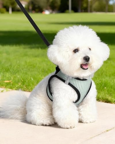 Dog Harness Small Sized and Leash Set, Step in Soft Light Puppy Vest, - Image 6