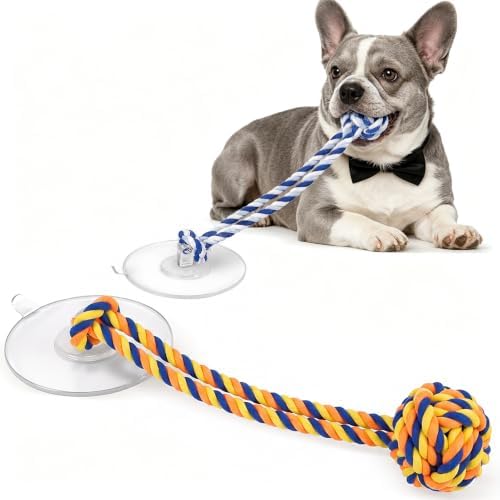 Dog Rope Toy with Suction Cup Interactive Tug of War Toy 2Pcs - Image 2