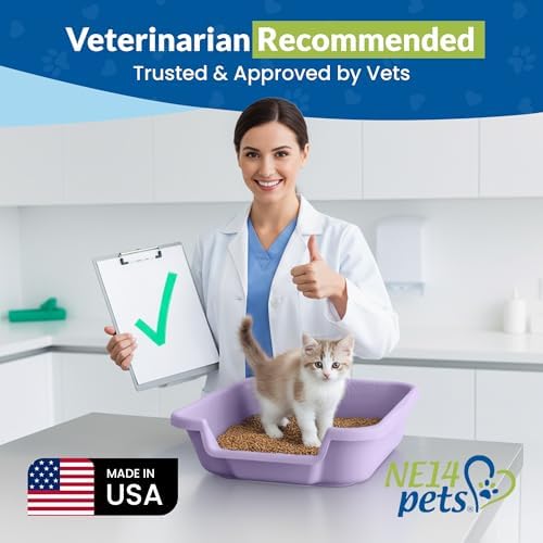 KittyGoHere Senior Cat Litter Box, Small Litter Pan, Small Lavender - Image 4