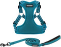 Best Pet Supplies Voyager Adjustable Step-in Flex Breathable Mesh Dog Harness by BestPetSuppliesLLC