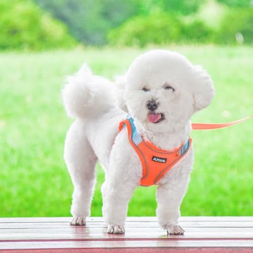 AIITLE Medium Dog Harness and Leash Set, Step-in Puppy Pet Vest - Image 5