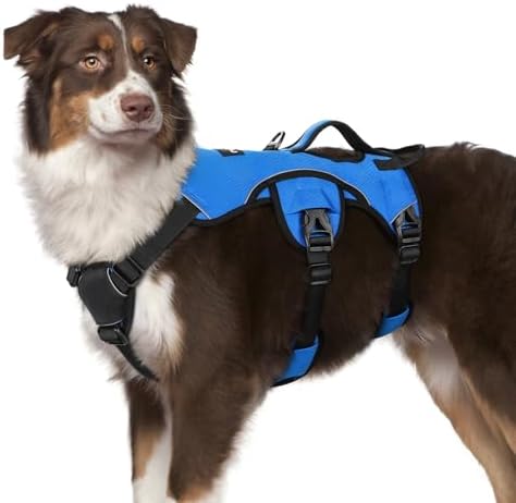 rabbitgoo Escape Proof Dog Harness by rabbitgoo