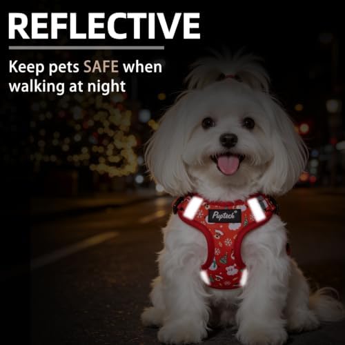 PUPTECK Christmas Dog Harness and Leash Set Small Sized, Step in No Pull - Image 4