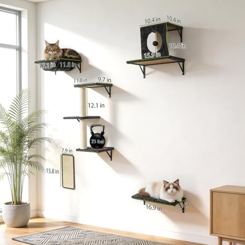 Cat Wall Shelves, Cat Wall Mounted Furniture, Climbing Wall Systems - Image 7