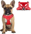 Dog Harness Step in Dog Vest Harness, Reflective Adjustable Puppy No Pull by BARKBAY