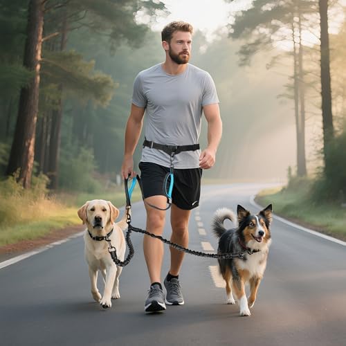 Hands Free Double Dog Leash Tangle Free, Lumbar Support Dual Leash - Image 2