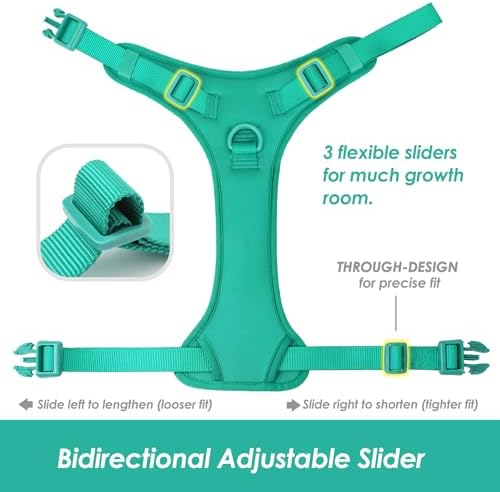 Sunraymascota No Pull Dog Harness - Image 4