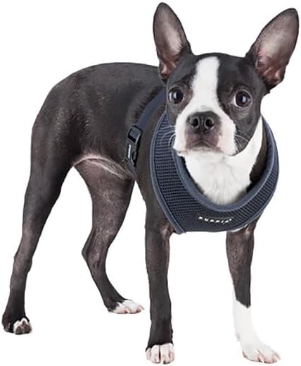 Authentic Puppia Soft Harness - Image 3